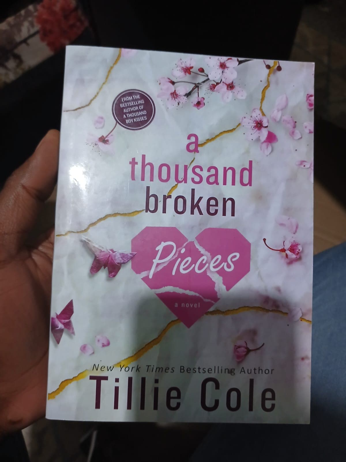 A Thousand Broken Pieces